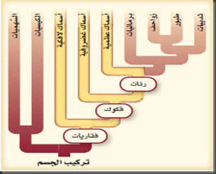 خصائص الاسماك