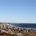 One Shot: Nova Scotia Coastline