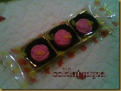 Coklat 5.3.2011 099
