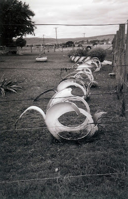 tyre swans