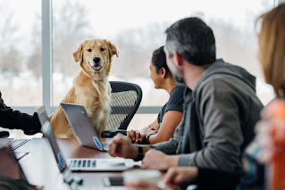 Los perros en la oficina benefician el trabajo