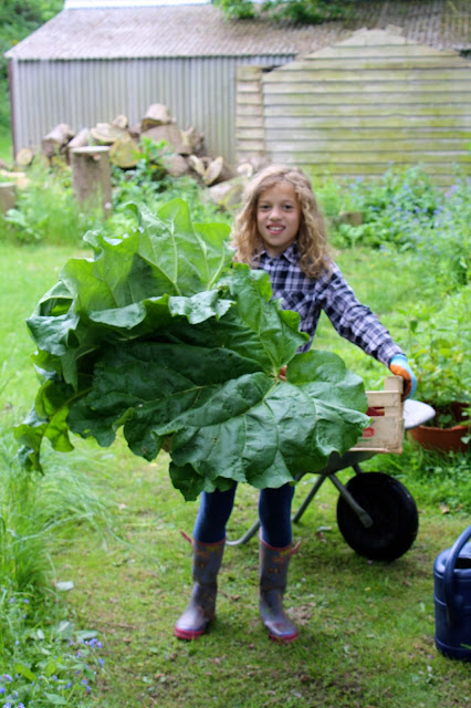 Una rhubarb