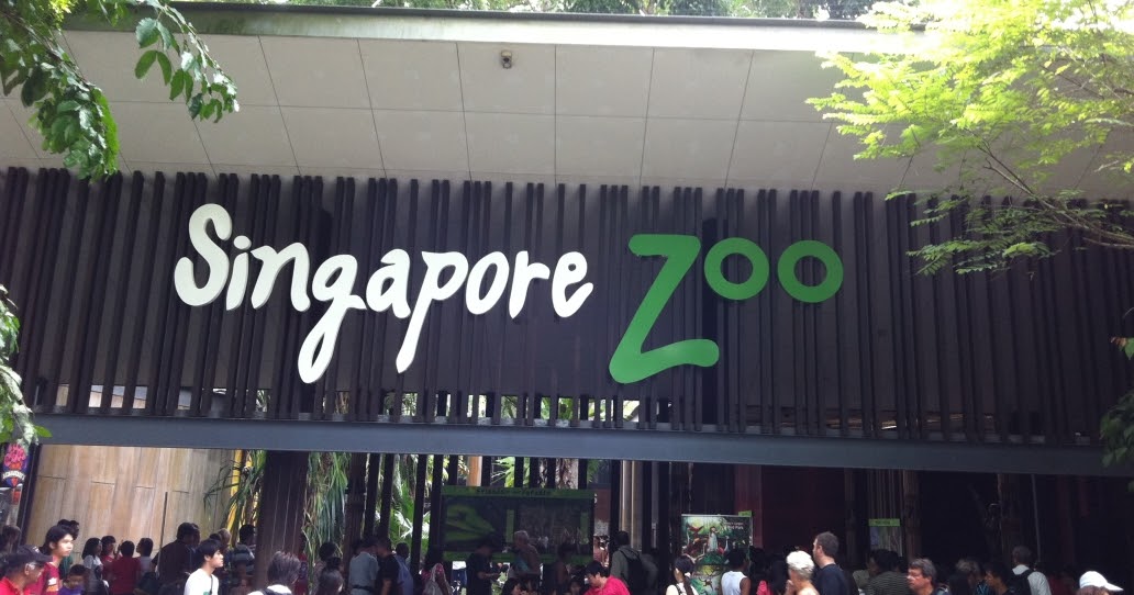 MY Blog: Singapore Zoo Photos