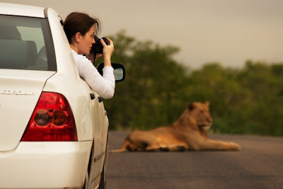 kruger south africa