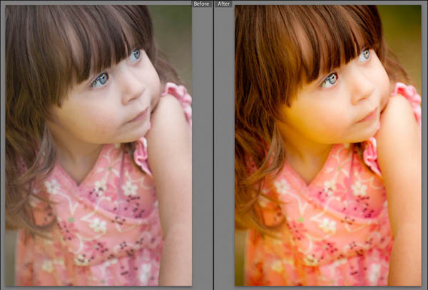 Must Have Adobe Lightroom presets for Photographers