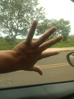 Uma mão sobre a parte interna do vidro da janela fechada de um carro. Ao fundo, árvores se sobrepõem ao céu azul vespertino. A composição da fotografia simboliza um motorista sentindo-se um prisioneiro almejando a liberdade.