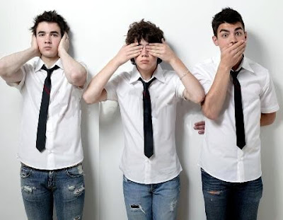 jonas brothers ages  2009