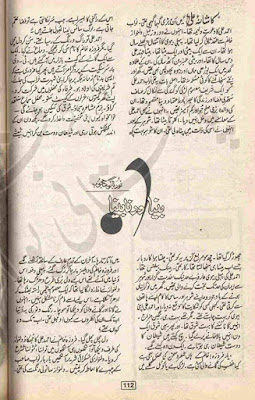 Beena Aur Nabeena by Noor Bano Mahjoob Online Reading
