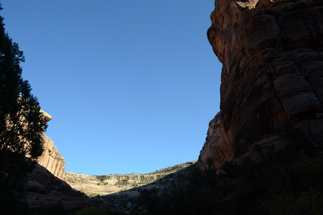 uppward to a buttress and out to a distant wall