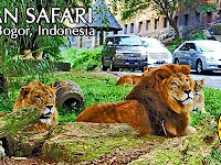 Taman Safari Indonesia Cisarua Bogor