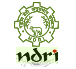 NDRI Karnal Project Recruitments 2023 January