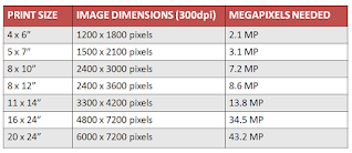 Print Size and Megapixel Needed Guide