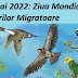 14 mai 2022: Ziua Mondială a Păsărilor Migratoare