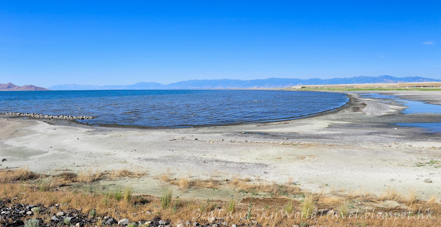  鹽湖城, 大鹽湖, Utah Great Salt Lake