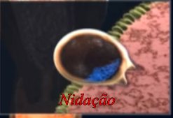 Nidação - O que é ? Sintomas e quando acontece