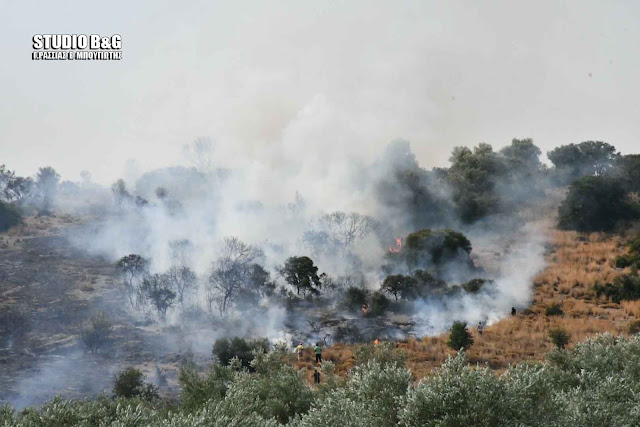 Πυρκαγιά στο Κουτσοπόδι Αργολίδας