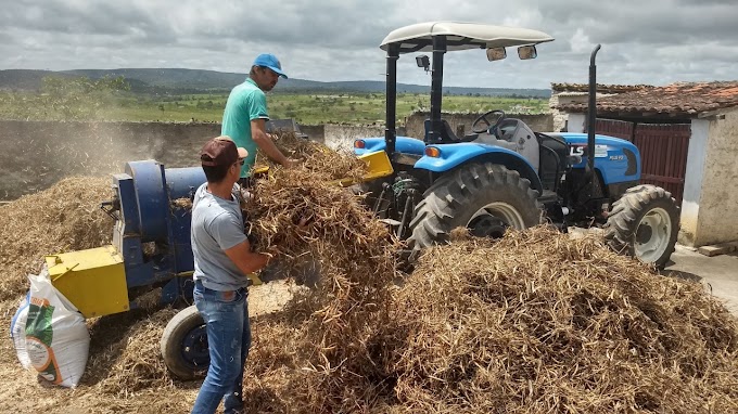 Agricultores de Saloá recebem apoio da prefeitura para “Bata do Feijão”!