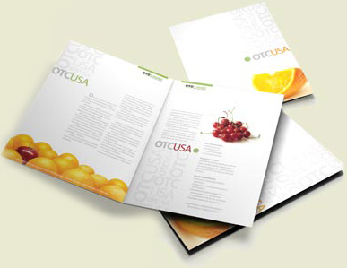  Brochure Design Sample 