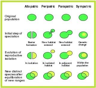 PEMBENTUKAN SPECIES BARU  Berita Biologi