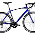 Tommaso Monza Endurance Aluminum Road Bike, Carbon Fork, Shimano Tiagra, 20 Speeds, Aero Wheels, Matte Black, Blue