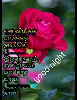 Good Night Whatsapp Status in Tamil, Dp, Images, Quotes, SMS, Wishes Download.