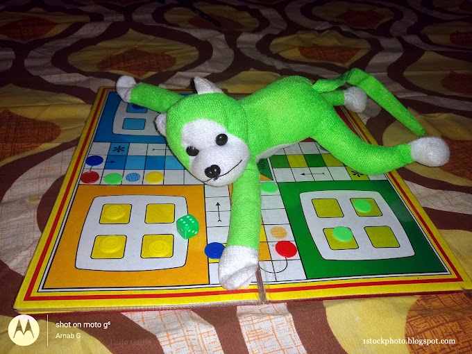 Ludo Game