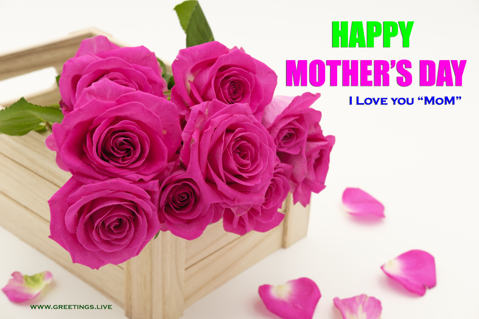 Greetings Live Free Daily Greetings Pictures Festival Gif Images Mothers Day 19 Greetings Cards Images