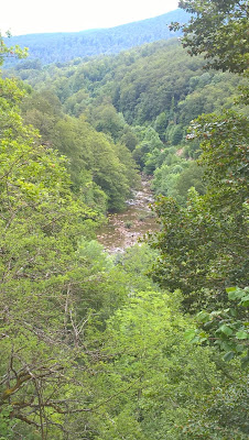 Ruta Pantano de Irabia Orbaitzeta.