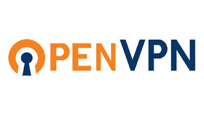 Transmission (seedbox) over VPN using OpenVPN