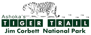 Ashoka Tiger Trail Resort Jim Corbette