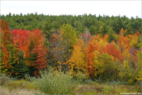 Paisajes Otoñales en Mason, New Hampshire