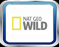 VER NAT GEO WILD ONLINE Y GRATIS POR INTERNET LAS 24H GRATIS EN VIVO