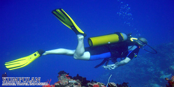 Objek Wisata Diving