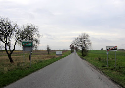 Zdjęcie: