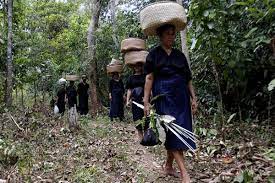 Pengakuan Hutan Adat