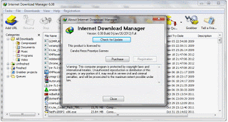 Download IDM 6.08 Build 9 Full  |www.agazsantiago.com|free download|cracking zone|