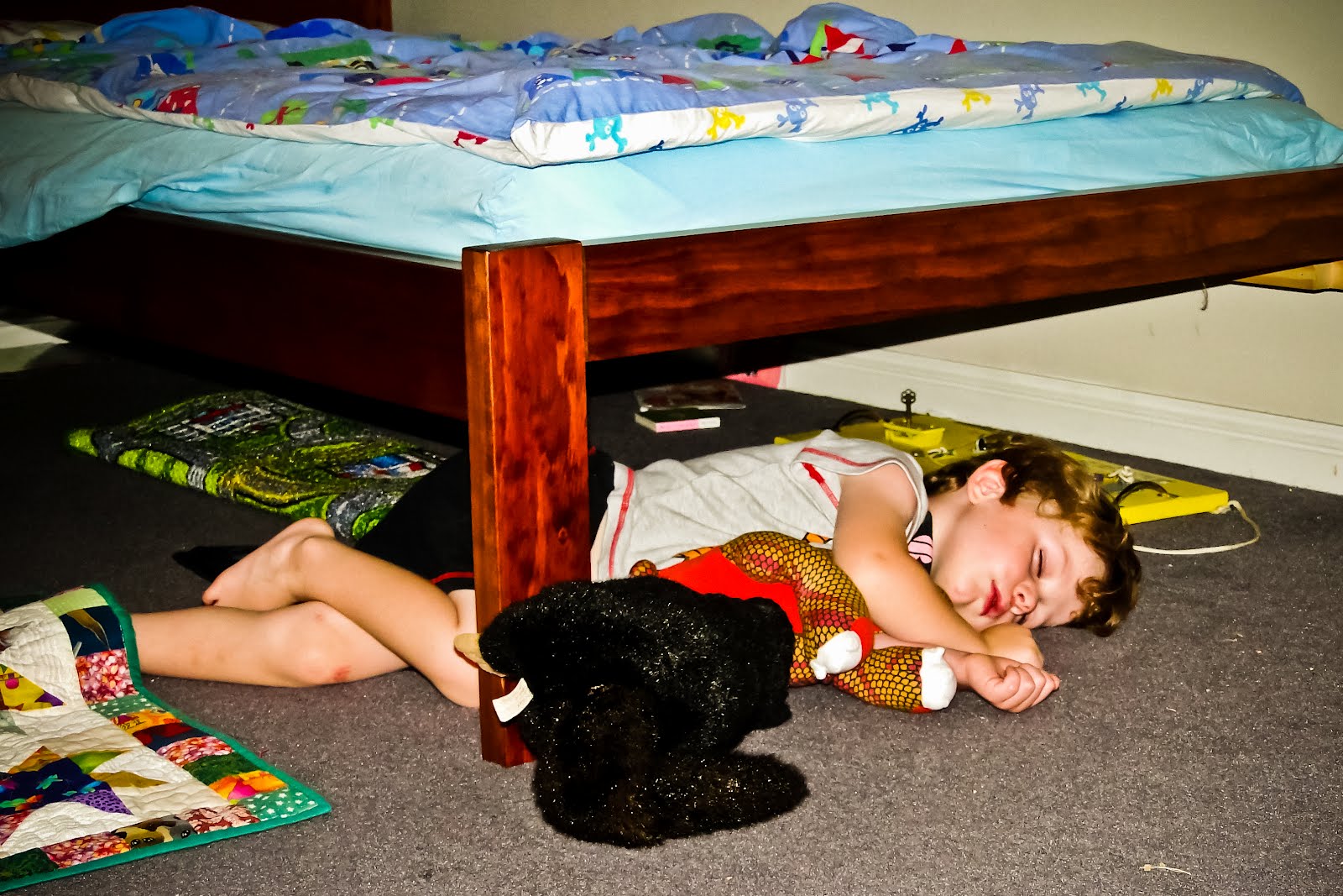 Has Chosen To Sleep Under Wallpaper | PicsWallpaper.com