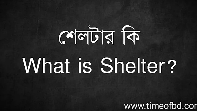 শেলটার কি | What is Shelter?