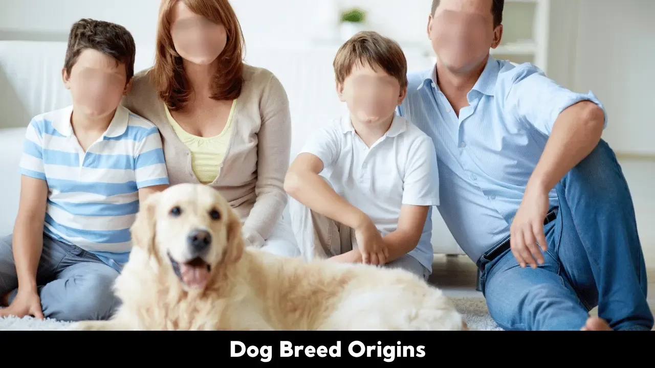 Top 10 Dog Breeds for Families with Kids