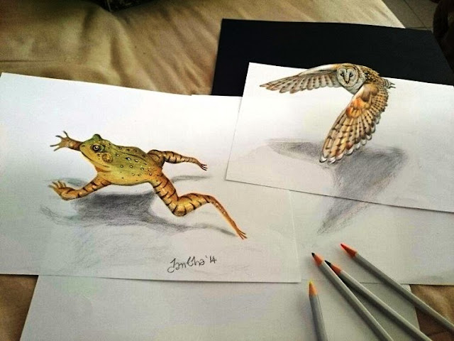 3D Animal drawing between the lines