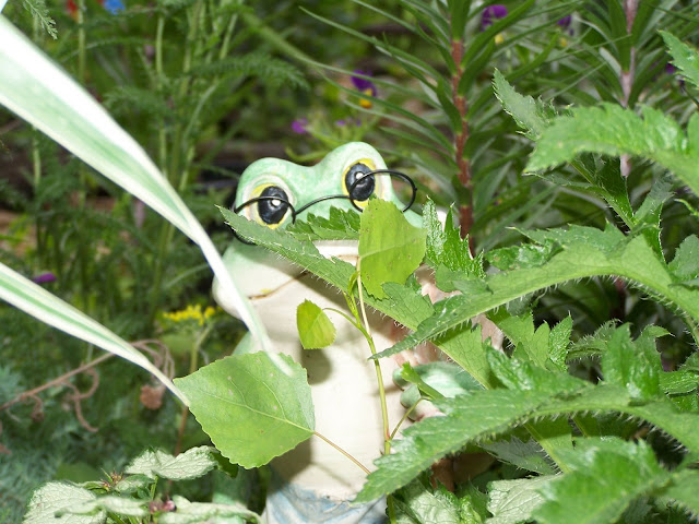 Frog garden decor