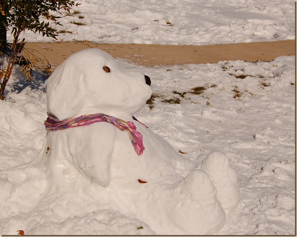 SnowDog