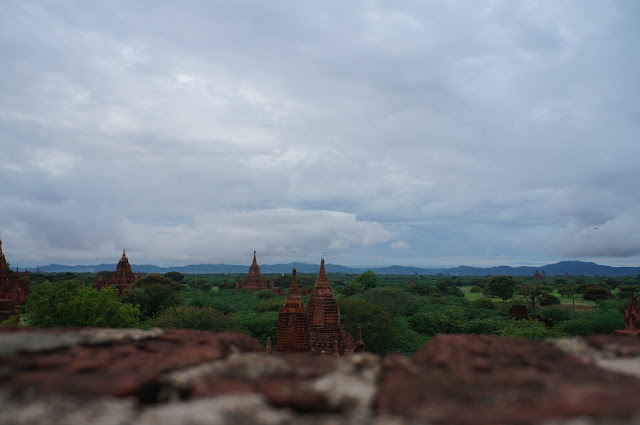 Bagan sejauh mata memandang