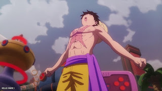 ワンピース アニメ 1110話 ルフィ Monkey D. Luffy ONE PIECE Episode 1110