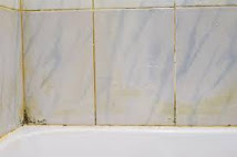 The image shows a corner of a bathroom with dirty tiles and black mold.  The picture shows a bathroom wall lined with ceramic tiles. The tiles are dirty and dirty and black mold is visible in the joints between the tiles. Mold is also present on some tiles.