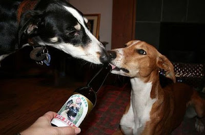 Dogs with Beer Seen On www.coolpicturegallery.net