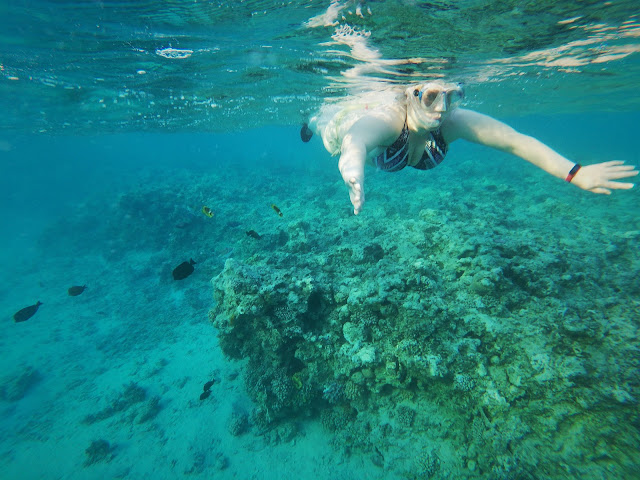 Snorkelling the Red Sea; Naama Bay, Sharm, Egypt