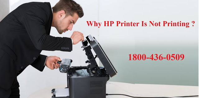 Why HP Printer Not Printing