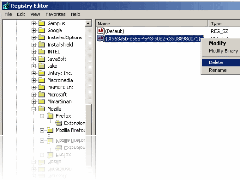 delete avg-registry key