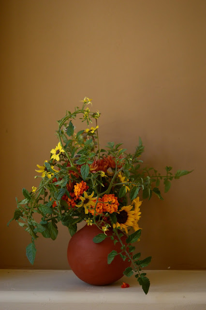 monday vase meme, chrysanthemum, lantana, berlandiera, tomato, sunflower, small sunny garden, flower arranging, desert garden, amy myers